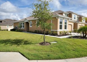 Harmony at Lakewood Ranch