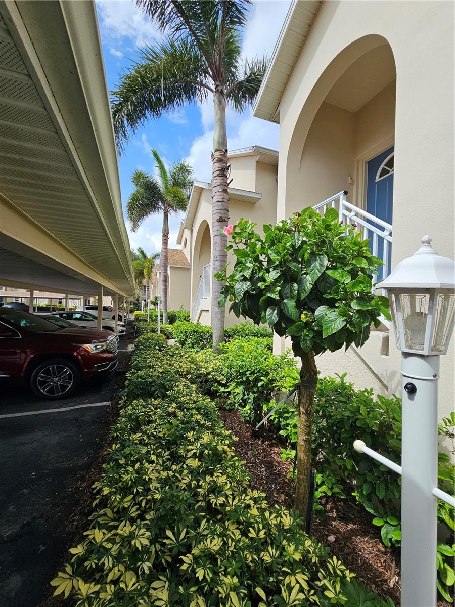 Rental property at 8340 WINGATE DR #1014, SARASOTA, FL - 2 bed, 2 bath - $1,795/month